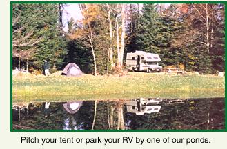 Pitch your tent or park your RV by one of our ponds.